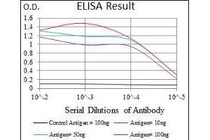 Black line: Control Antigen (100 ng), Purple line: Antigen(10 ng), Blue line: Antigen (50 ng), Red line: Antigen (100 ng), (POU3F2 抗体  (AA 214-362))