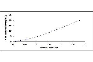 Typical standard curve (ROCK2 ELISA 试剂盒)