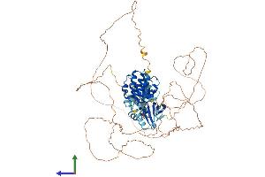 Protein Structure (PS) image for SNF Related Kinase (SNRK) (AA 1-748) protein (His tag) (ABIN7559874)