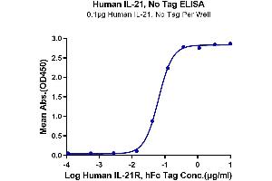 Immobilized Human IL-21, No Tag at 1 μg/mL (100 μL/well) on the plate. (IL-21 蛋白)