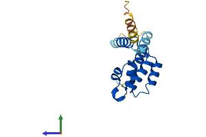 Protein Structure (PS) image for CGRP Receptor Component (CRCP) (AA 1-148) protein (His tag) (ABIN7562317)