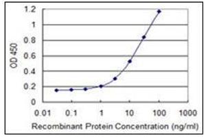 ELISA image for anti-Fibrillin 1 (FBN1) (AA 2772-2872) antibody (ABIN782397)