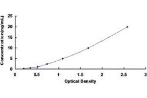 Typical standard curve (SSH2 ELISA 试剂盒)