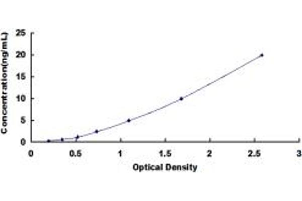 SSH2 ELISA 试剂盒