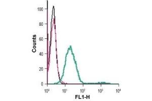 Cell surface detection of mGluR5 in live intact mouse BV-2 microglia cells: (black line) Cells.