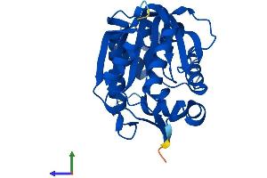 Protein Structure (PS) image for Nicotinamide N-Methyltransferase (NNMT) (AA 1-264) protein (His tag) (ABIN7549865)