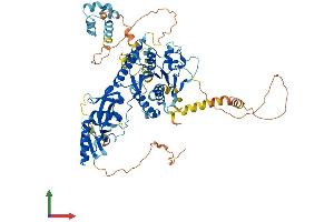 AlphaFold protein structure predicition of Human Recombinant DDHD2 Protein, UniprotID O94830