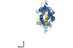 AlphaFold protein structure predicition of Mouse Recombinant Gpr15 Protein, UniprotID Q0VDU3