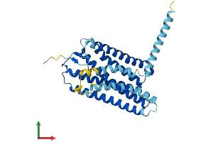AlphaFold protein structure predicition of Mouse Recombinant Olfr141 Protein, UniprotID Q60880 (Olfr141 Protein (AA 1-325) (His tag))