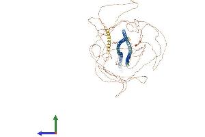 Protein Structure (PS) image for Neurofilament, Heavy Polypeptide (NEFH) (AA 1-1026) protein (His tag) (ABIN7554714)