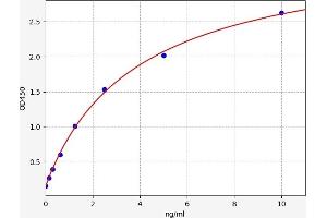 KSR2 ELISA 试剂盒