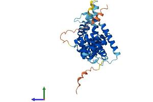 Protein Structure (PS) image for Cyclin N-terminal Domain Containing 1 (CNTD1) (AA 1-334) protein (His tag) (ABIN7561159)