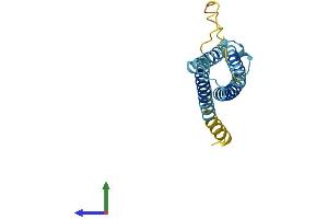 Protein Structure (PS) image for CKLF-Like MARVEL Transmembrane Domain Containing 6 (CMTM6) (AA 1-183) protein (His tag) (ABIN7546553)