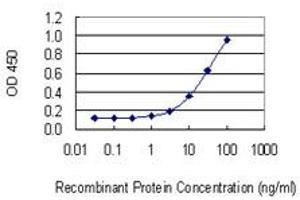 Detection limit for recombinant GST tagged MAST2 is 0. (MAST2 抗体  (AA 688-792))