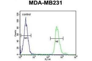 Flow cytometric analysis of MDA-MB231 cells using SMAD3 Antibody  (right histogram) compared to a negative control cell (left histogram). (SMAD3 抗体  (Ser208))