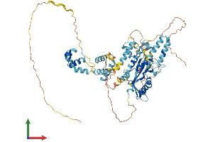 Protein Structure (PS) image for Tigger Transposable Element Derived 5 (TIGD5) (AA 1-642) protein (His tag) (ABIN7557375)
