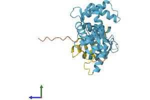 Protein Structure (PS) image for Secretagogin, EF-Hand Calcium Binding Protein (SCGN) (AA 1-276) protein (His tag) (ABIN7560031)