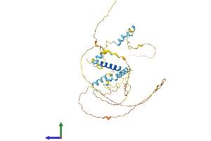 Protein Structure (PS) image for Family with Sequence Similarity 110, Member B (FAM110B) (AA 1-366) protein (His tag) (ABIN7559179)