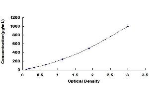 Typical standard curve (CXCL2 ELISA 试剂盒)