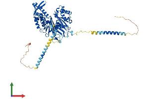 AlphaFold protein structure predicition of Mouse Recombinant Entpd4 Protein, UniprotID Q9DBT4