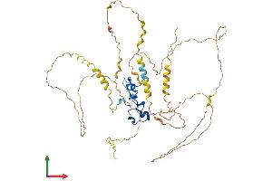 Protein Structure (PS) image for Zinc Finger Protein 36, C3H Type-Like 2 (ZFP36L2) (AA 1-494) protein (His tag) (ABIN7555808)