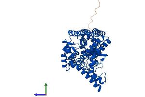 Protein Structure (PS) image for Fatty Acid Desaturase 2 (FADS2) (AA 1-444) protein (His tag) (ABIN7556350)