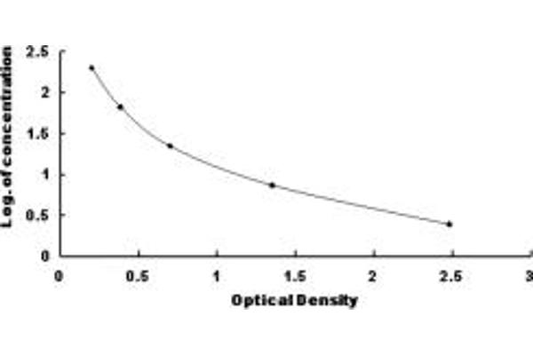 Intrinsic Factor ELISA 试剂盒