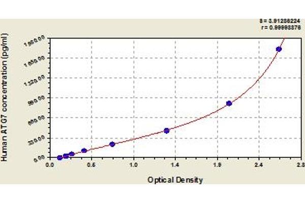 ATG7 ELISA 试剂盒