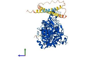 Protein Structure (PS) image for UDP-N-Acetyl-alpha-D-Galactosamine:polypeptide N-Acetylgalactosaminyltransferase 8 (GalNAc-T8) (GALNT8) (AA 1-637) protein (His tag) (ABIN7553982)