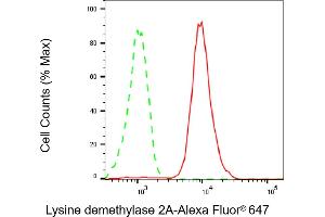 Flow cytometric analysis of Lysine demethylase 2A expression in C2C12 cells using Lysine demethylase 2A antibody (ABIN7799299), 1:2,000). (Recombinant KDM2A 抗体)