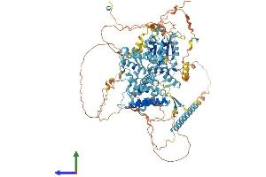 Protein Structure (PS) image for CTF18, Chromosome Transmission Fidelity Factor 18 Homolog (CHTF18) (AA 1-969) protein (His tag) (ABIN7564367)
