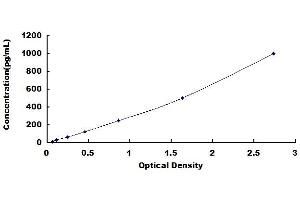 Typical standard curve (IL-21 ELISA 试剂盒)