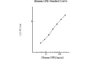 CPE ELISA 试剂盒