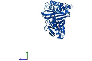 AlphaFold protein structure predicition of Mouse Recombinant Impa2 Protein, UniprotID Q91UZ5 (IMPA2 Protein (AA 1-290) (His tag))