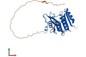 Protein Structure (PS) image for Methyltransferase Like 21C (METTL21C) (AA 1-264) protein (His tag) (ABIN7549588)