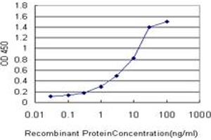 Detection limit for recombinant GST tagged FBXO8 is approximately 0. (FBXO8 抗体  (AA 1-77))