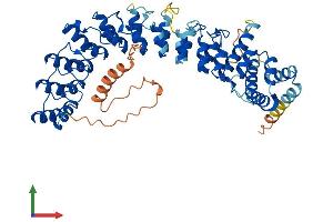 AlphaFold protein structure predicition of Human Recombinant ANKDD1B Protein, UniprotID A6NHY2