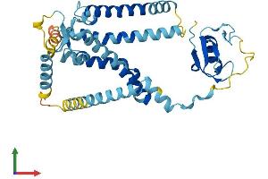 Protein Structure (PS) image for Peroxisomal Biogenesis Factor 12 (PEX12) (AA 1-359) protein (His tag) (ABIN7559799)