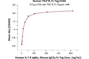 ELISA image for Cytokine Receptor-Like Factor 2 (CRLF2) (AA 25-231) (Active) protein (Fc Tag) (ABIN6253631)