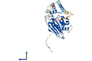 AlphaFold protein structure predicition of Mouse Recombinant Asphd1 Protein, UniprotID Q2TA57