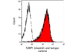 Flow Cytometry (FACS) image for anti-Tumor Protein P53 Binding Protein 1 (TP53BP1) (AA 350-400) antibody (ABIN7455070) (Recombinant TP53BP1 抗体  (AA 350-400))