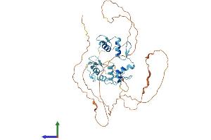 Protein Structure (PS) image for Growth Factor Independent 1 (GFI1) (AA 1-422) protein (His tag) (ABIN7553994)