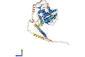 Protein Structure (PS) image for Kinesin Family Member 12 (KIF12) (AA 1-642) protein (His tag) (ABIN7560933)