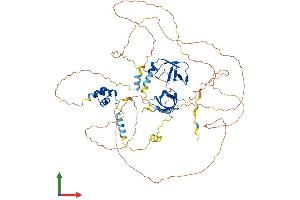 Protein Structure (PS) image for Tudor Domain Containing 3 (TDRD3) (AA 1-651) protein (His tag) (ABIN7555727)