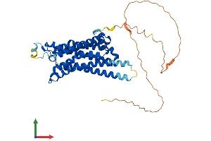 AlphaFold protein structure predicition of Mouse Recombinant Adora2a Protein, UniprotID Q60613