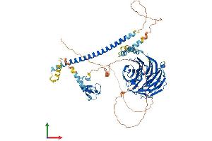 Protein Structure (PS) image for Ring Finger and WD Repeat Domain 2, E3 Ubiquitin Protein Ligase (RFWD2) (AA 1-733) protein (His tag) (ABIN7565184)