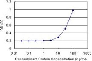 Sandwich ELISA detection sensitivity ranging from 10 ng/mL to 100 ng/mL. (SGCG (人) Matched Antibody Pair)