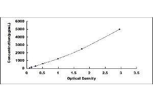 Typical standard curve (VEGFC ELISA 试剂盒)