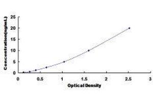 ELISA image for Kruppel-Like Factor 2 (Lung) (KLF2) ELISA Kit (ABIN419056)