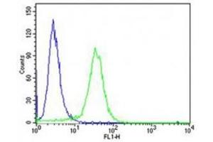 Flow cytometric analysis of HeLa cells using PCSK9 antibody (green) compared to an isotype control of rabbit IgG (blue)